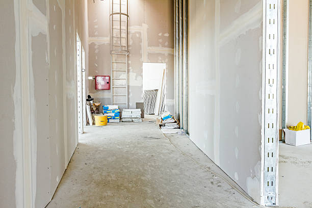 Best Drywall Sanding and Smoothing  in Marissa, IL